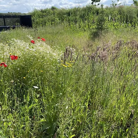 Prázdninový dům Anelle - 500m From The Sea By Interhome