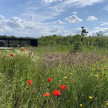 Anelle - 500m From The Sea By Interhome Feriehus *