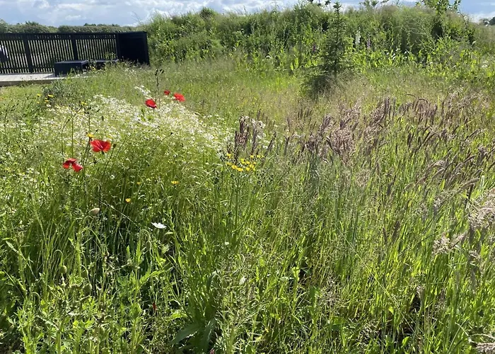 Holiday home Anelle - 500m From The Sea By Interhome