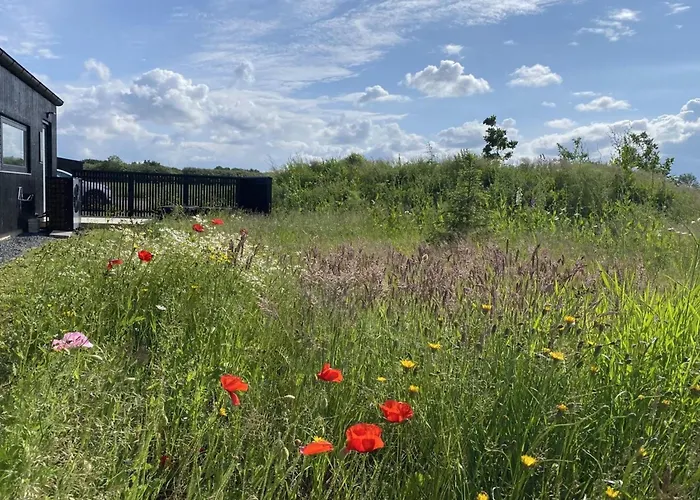 Anelle - 500m From The Sea By Interhome Holiday home *